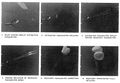 Thumbnail for version as of 18:37, 24 June 2024